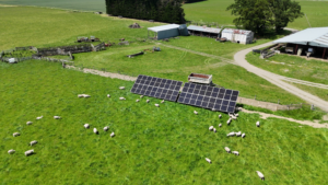 Solar panels installed in a sheep paddock on a farm in Southland